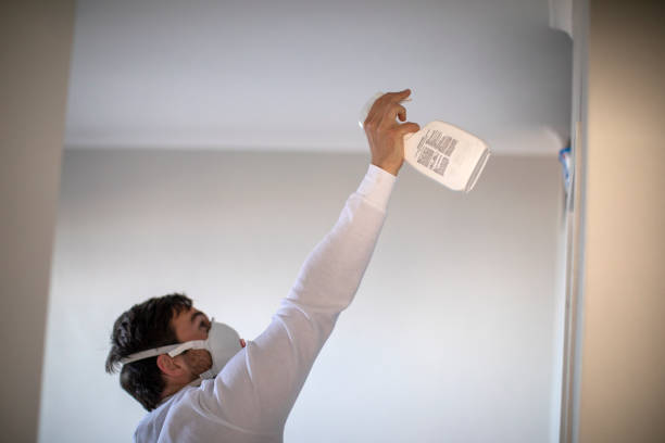 Best Mold Damage Repair  in Choccolocco, AL