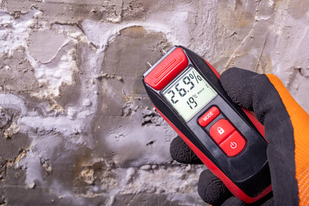 Best Mold Remediation Experts  in Choccolocco, AL
