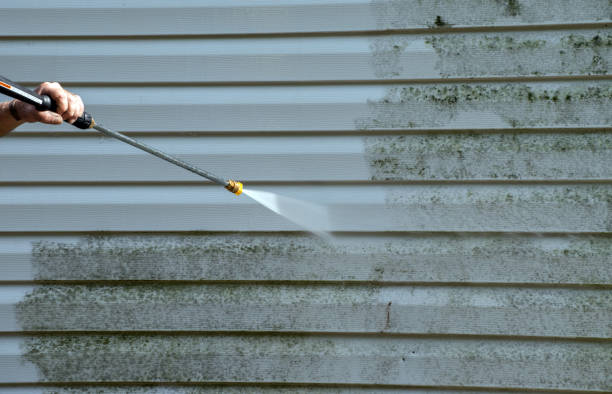 Best Commercial Mold Removal  in Choccolocco, AL